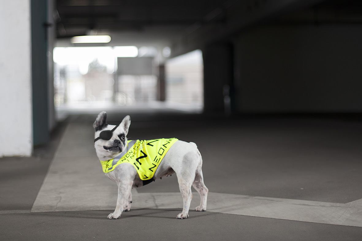 Gewebetex Hundeweste "Dogvis"